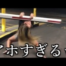 100人中99人が笑う動画おもしろすぎる!!
