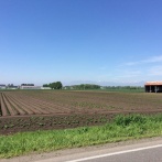 【速報】日本、一気にレアアース大国へｗｗｗｗｗｗｗｗｗｗｗｗｗｗｗｗｗ