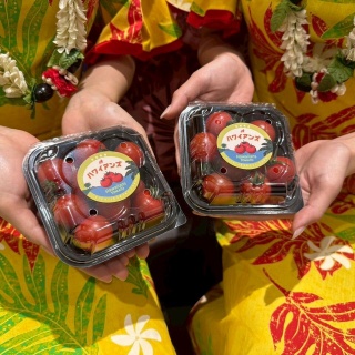 スパリゾートハワイアンズ・ブログ