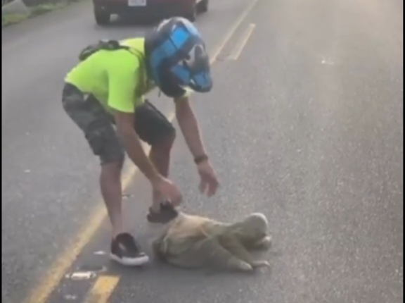 外国人「ナマケモノを助けたら大変なことになった・・・」　海外の反応。