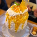 宇部市琴芝町　ハコニワ