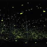 �ҥ�ܥ��������