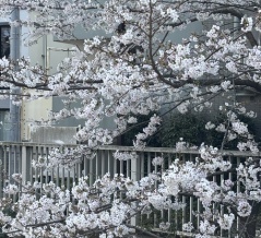 駆け込み無印♪