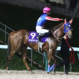 『【遠征馬情報】盛岡競馬場・第13回ハヤテスプリント〔M2〕にホッカイドウ競馬から4頭が参戦!』の画像