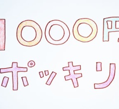 楽天1000円ポッキリ送料無料　タオル、そうめん、箸置き、のし梅、マイカイカ