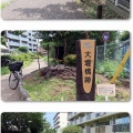 田柄川緑道を行く