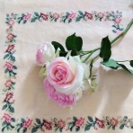 Stitchin' Time!　～さんぽのクロスステッチnote*～