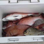 しんちゃんまる日記