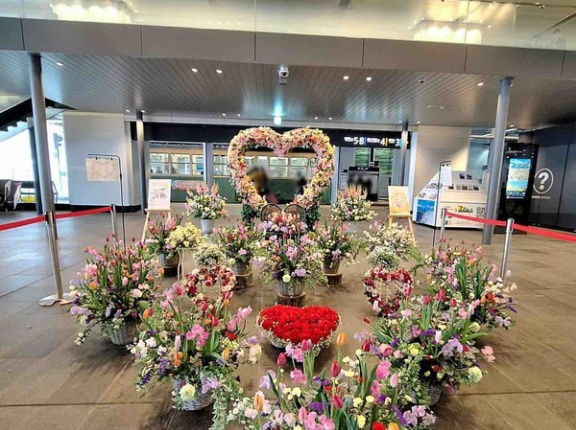 1位は人気アーティストがやってくるイベント記事！2025年2月に最も読まれた人気記事まとめてみた。2月人気記事まとめ。【とやま速報】