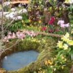 コンピテンシー宣教師日記