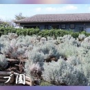 都市農業公園・ハーブ園