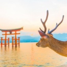 復活させたよ！さえきくっこ・広島弁講座！＼(^o^)／　もくじ　（2026,10,25）