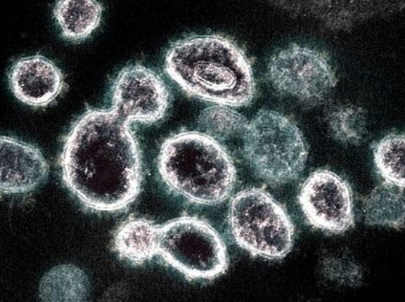 あの食べ物から規定値を超える『発がん性物質』を確認・・・マジかよ