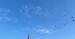 【シニアの暮らし】やっと、秋を感じた朝。。