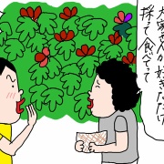 イチジクは庭に植えるな？