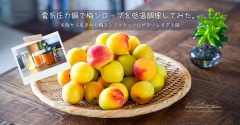 電気圧力鍋で梅シロップを低温調理してみた。