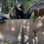 日本最大の熊害『三毛別羆事件』を題材にしたNetflix作品、ロケ予定地に本当に熊が出没し制作中断