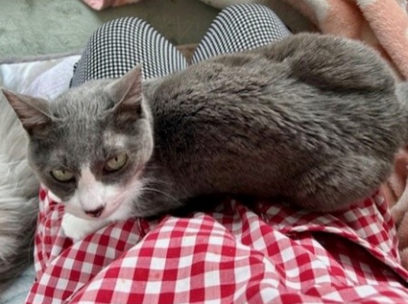 ドカ雪に埋もれた車を掘り出しました