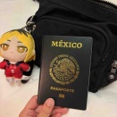 今日のブログ🙂‍↕️🇯🇵🇲🇽