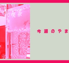 大和市に雪降ってたり＆かっぱ寿司で食べ放題開催予定だったり【今週のやまと】