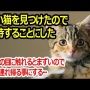 【外道】ツイッター民「新宿歩いてたら財布拾ったから、最強の嫌がらせをしてやったわｗｗｗｗｗｗ」