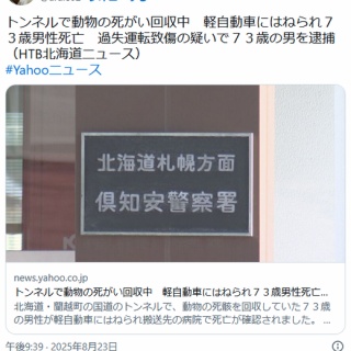 カエターノ・ヴェローゾ再発コレクション(1)「ドミンゴ」 : 中原