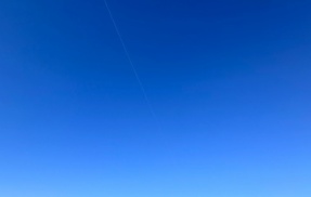 🐜謹賀新年🐜