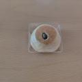 柳月 秋ひろい&かぼちゃのとろりん饅頭