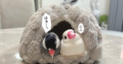別荘でデートの約束
