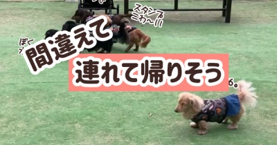 完全に混ざる。