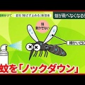 2026年大量発生!？ "令和の蚊" は『多い』『長い』温暖化影響で生態に異変も