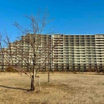 ひとりぼっちのお祭り