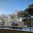 『朝日に照らされた雪化粧がきれいな朝』の画像