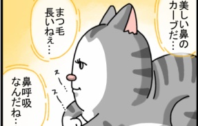 猫ってぼーっとしながらつい観察しちゃう