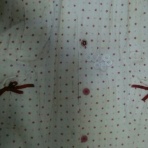 無気力からの脱出