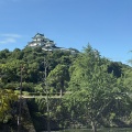 和歌山の日本整形外科超音波学会に参加してきました
