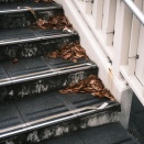 気を溜めている。