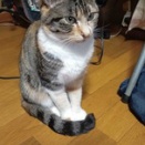 雨が続きますね