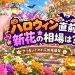 まみむめもっちのドラクエ☆１０日記