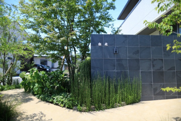 津村造園のブログ 植物