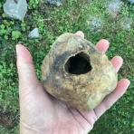 石になる地のふしぎ