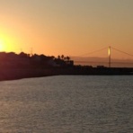 ＯＩＤＯＮ ＫＩＳＵ