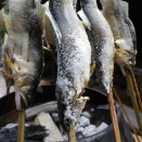 ４ＤＮ山の家　鮎に松茸 栄螺 鮑 鯛 鰹 魬 肉に酒　11月1日