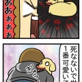 すってんころりん②