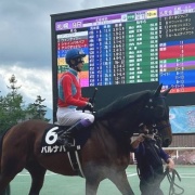 ドラマ「ザ・ロイヤルファミリー」を見終えて