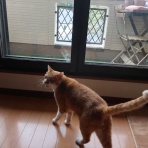 だいじろう日和。