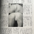 ビニ本について　～ビニール帝国 繁盛記～