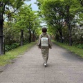 郡上紬と紙布の帯でニトリへ