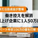 年金改革やべぇｗｗｗ106万の壁が消えるのか！？ちょｗおまえらどう思う？