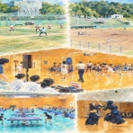 川内中央中学校ブログ